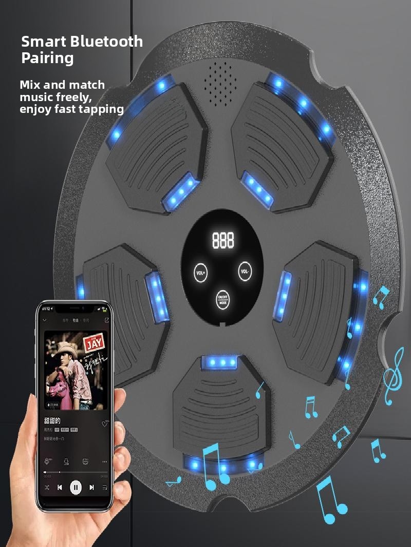 New Bluetooth Music Wall Targe - Sports Equipment You Hit review and price