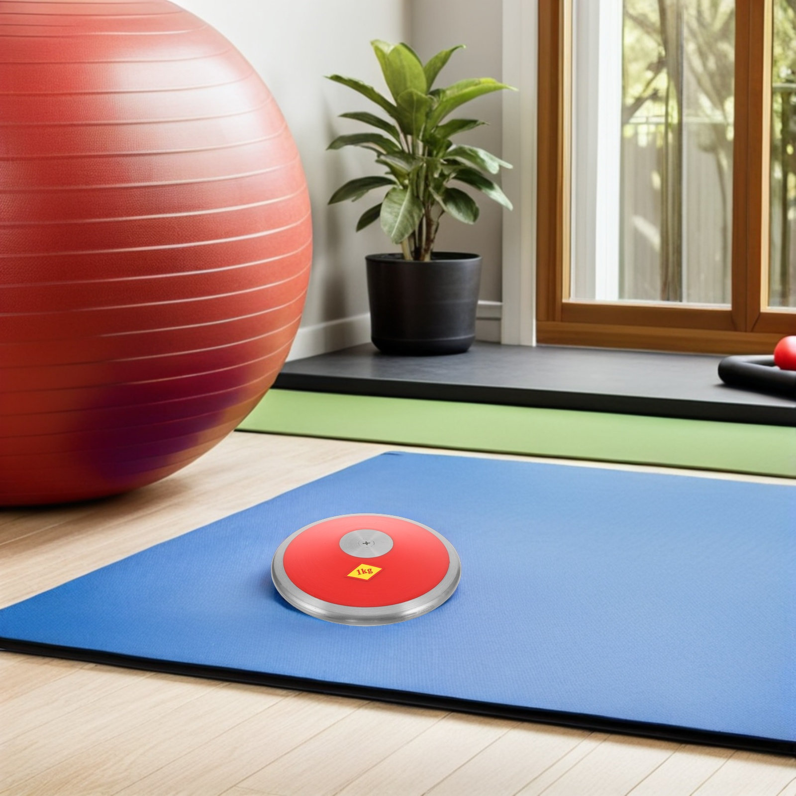 1Kg Sports Nylon Practice Disc - Discus Throw Training review and price